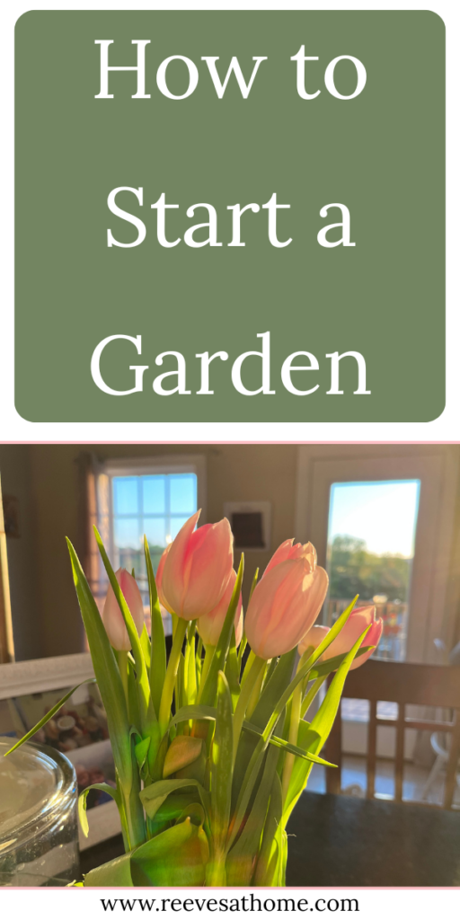 When To Garden
What To Grow In A Garden
Garden In Planters
Easy Veggie Garden Ideas
Raised Garden Bed For Beginners
How To Organize Your Garden
Garden Planning For Beginners
First Garden Ideas
Best Plants For Garden