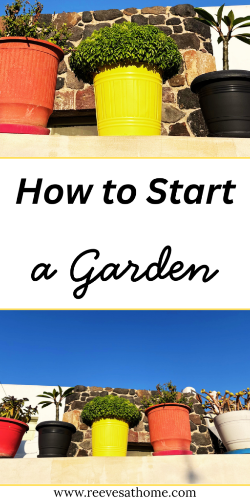 When To Garden
What To Grow In A Garden
Garden In Planters
Easy Veggie Garden Ideas
Raised Garden Bed For Beginners
How To Organize Your Garden
Garden Planning For Beginners
First Garden Ideas
Best Plants For Garden