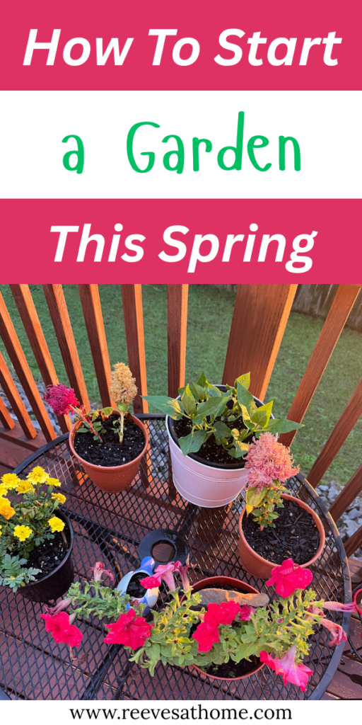 When To Garden
What To Grow In A Garden
Garden In Planters
Easy Veggie Garden Ideas
Raised Garden Bed For Beginners
How To Organize Your Garden
Garden Planning For Beginners
First Garden Ideas
Best Plants For Garden