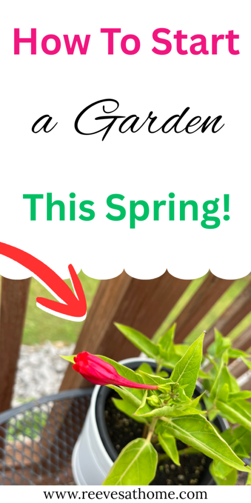 When To Garden
What To Grow In A Garden
Garden In Planters
Easy Veggie Garden Ideas
Raised Garden Bed For Beginners
How To Organize Your Garden
Garden Planning For Beginners
First Garden Ideas
Best Plants For Garden