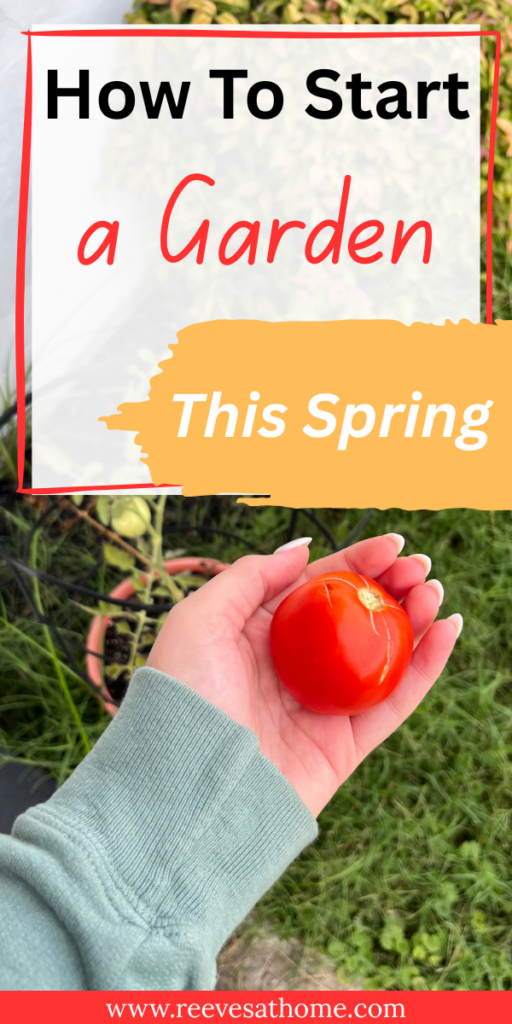 When To Garden
What To Grow In A Garden
Garden In Planters
Easy Veggie Garden Ideas
Raised Garden Bed For Beginners
How To Organize Your Garden
Garden Planning For Beginners
First Garden Ideas
Best Plants For Garden