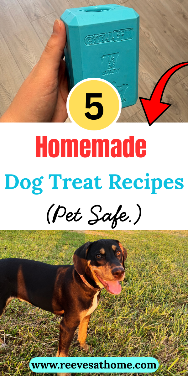 5 Homemade Dog Treat Recipes (Pet Safe, Easy, & Healthy ...