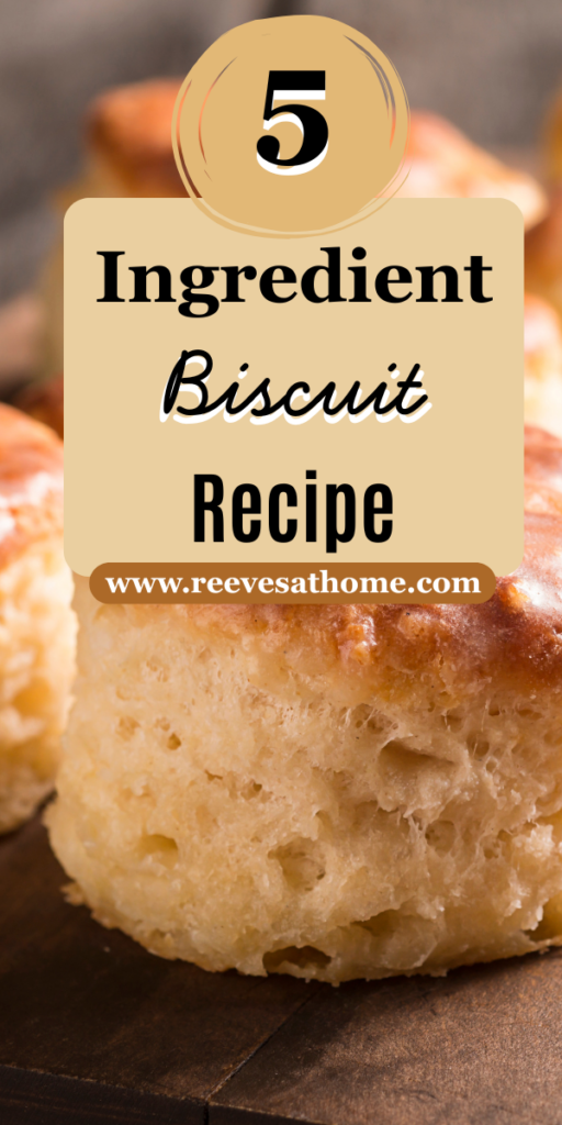 Baking Soda Biscuits Easy
Easy Simple Biscuit Recipe
Biscuit Recipe Without Baking Powder
Easy Biscuit Recipe All Purpose Flour
Dump Biscuits Easy
Tea Biscuits Easy
Drop Biscuit Recipe No Baking Powder
Easy Biscuit Recipe 3 Ingredients All Purpose Flour
Super Easy Biscuit Recipe