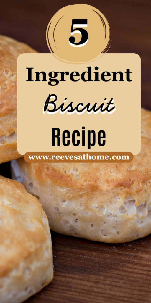 Baking Soda Biscuits Easy
Easy Simple Biscuit Recipe
Biscuit Recipe Without Baking Powder
Easy Biscuit Recipe All Purpose Flour
Dump Biscuits Easy
Tea Biscuits Easy
Drop Biscuit Recipe No Baking Powder
Easy Biscuit Recipe 3 Ingredients All Purpose Flour
Super Easy Biscuit Recipe