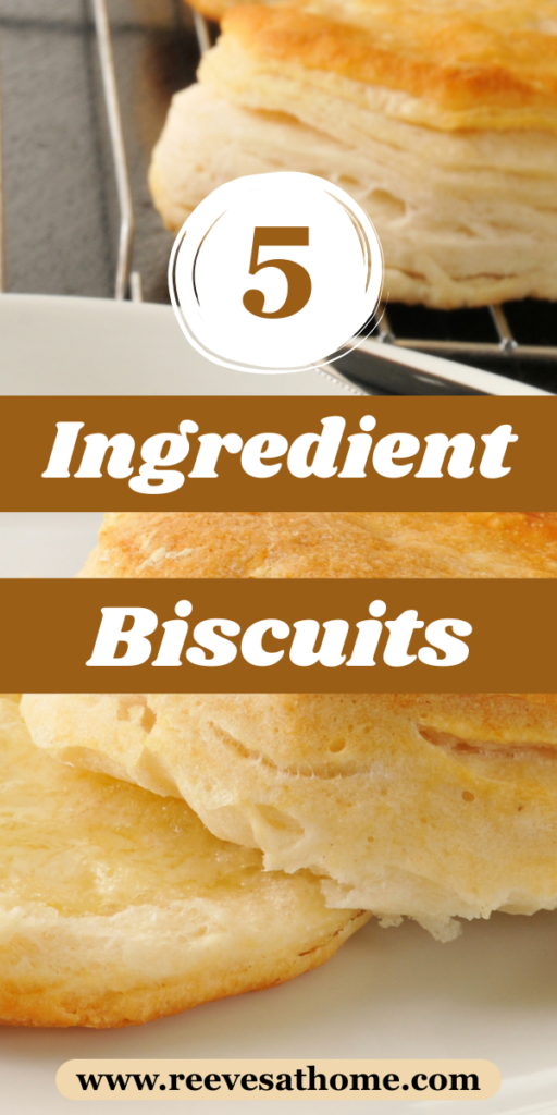 Baking Soda Biscuits Easy
Easy Simple Biscuit Recipe
Biscuit Recipe Without Baking Powder
Easy Biscuit Recipe All Purpose Flour
Dump Biscuits Easy
Tea Biscuits Easy
Drop Biscuit Recipe No Baking Powder
Easy Biscuit Recipe 3 Ingredients All Purpose Flour
Super Easy Biscuit Recipe
