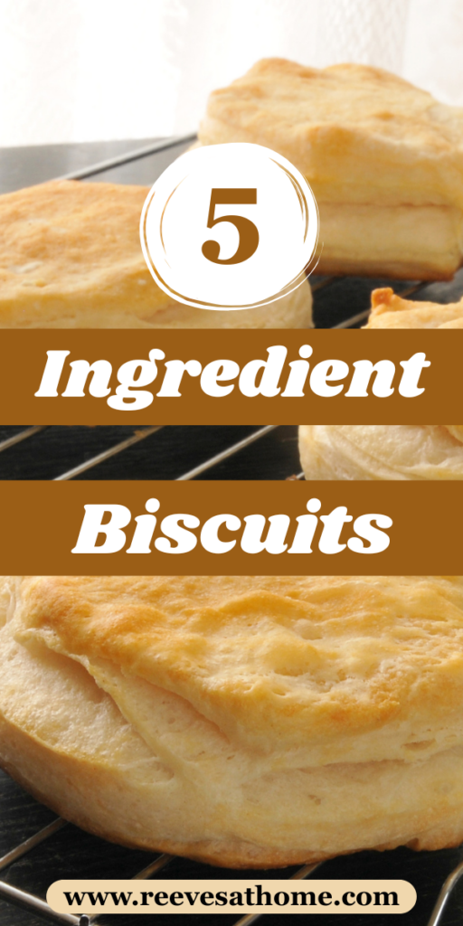 Baking Soda Biscuits Easy
Easy Simple Biscuit Recipe
Biscuit Recipe Without Baking Powder
Easy Biscuit Recipe All Purpose Flour
Dump Biscuits Easy
Tea Biscuits Easy
Drop Biscuit Recipe No Baking Powder
Easy Biscuit Recipe 3 Ingredients All Purpose Flour
Super Easy Biscuit Recipe