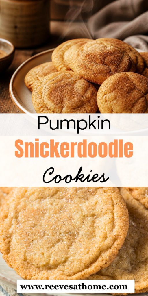 Pumpkin Snickerdoodle Cookies With Caramel
Canned Pumpkin Cookies
Pumpkin Spice Food Recipes
Chewy Pumpkin Snickerdoodles
Chewy Pumpkin Cookies
Chewy Pumpkin Snickerdoodle Cookies
Soft And Chewy Pumpkin Snickerdoodle Cookies
Pumpkin Recipes Cookies
Soft Pumpkin Snickerdoodle Cookies