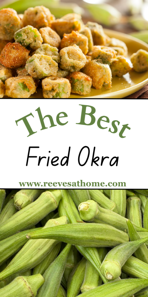 Best Fried Okra Recipe
How To Make Fried Okra
Okra Recipes Fried
How To Fry Okra
Cornmeal Breaded Fried Okra
Deep Fried Okra Recipe
How To Fry Okra Southern Style
Fried Okra Recipe Easy
How To Cook Fried Okra