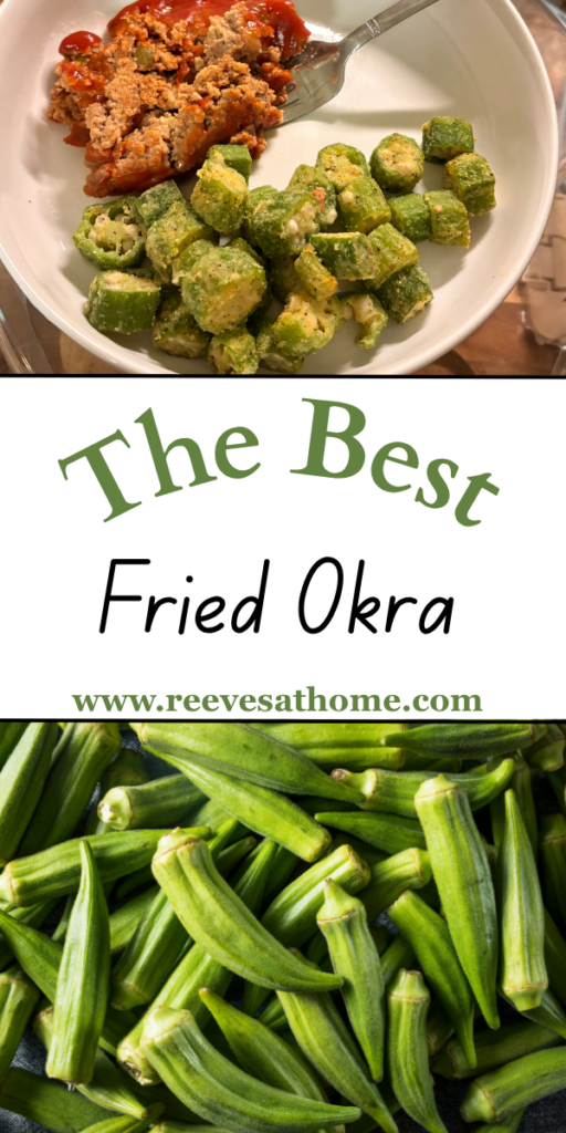 Best Fried Okra Recipe
How To Make Fried Okra
Okra Recipes Fried
How To Fry Okra
Cornmeal Breaded Fried Okra
Deep Fried Okra Recipe
How To Fry Okra Southern Style
Fried Okra Recipe Easy
How To Cook Fried Okra